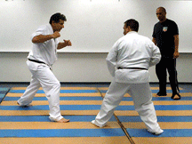 kung fu san soo la mirada lesson